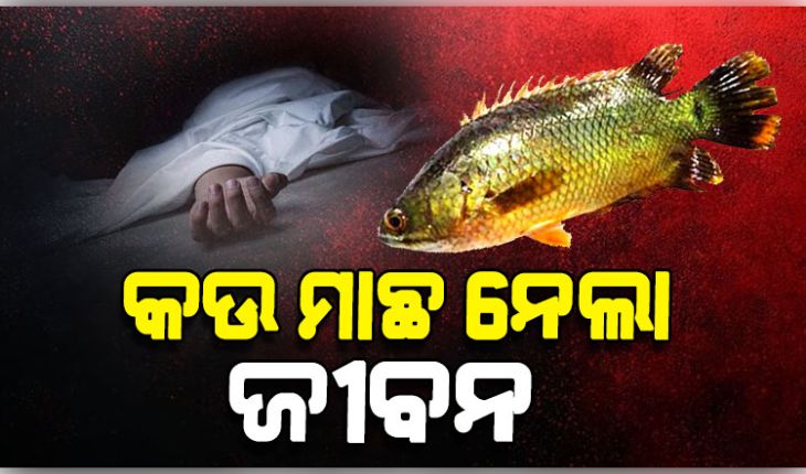 ମାଛ ଧରିବା ସମୟରେ ପାଟିରେ ପଶିଗଲା କଉ ମାଛ, ଚାଲିଗଲା ଯୁବକଙ୍କ ଜୀବନ 