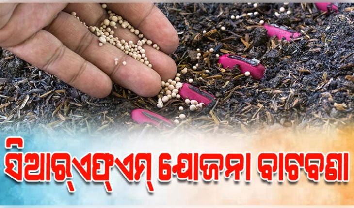 ସିଆର୍‌ଏଫ୍‌ଏମ୍‌ ଯୋଜନା ବାଟବଣା: ସାରା ରାଜ୍ୟରେ ଦୁର୍ନୀତିର ପାହାଡ଼