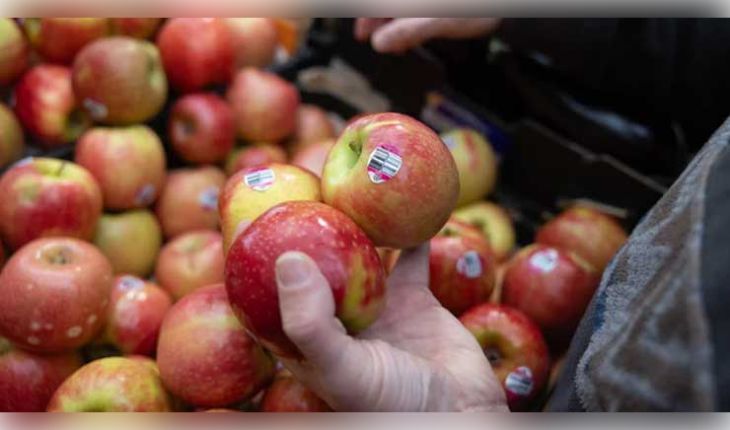 ଫଳରେ ଲାଗିଥିବା ଷ୍ଟିକର ସାଜିପାରେ ଘାତକ: ଜାଣନ୍ତୁ ଏହା ପଛରେ ଥିବା କାରଣ ଏବଂ FSSAI ର ଚେତାବନୀ