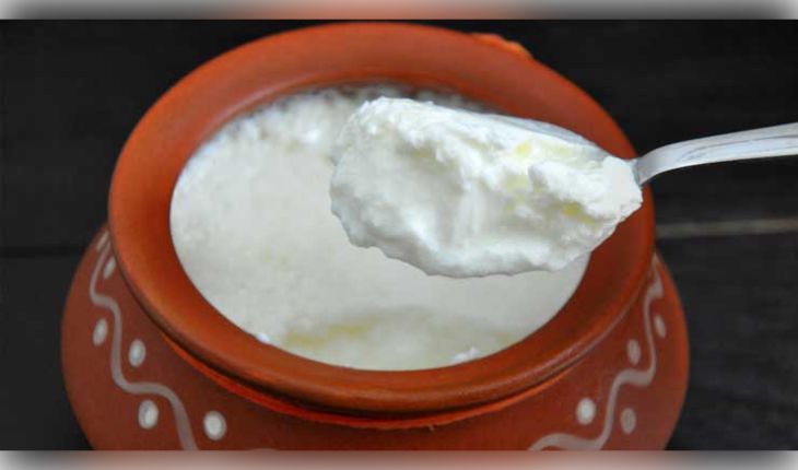 ବିନା ଚାଖି କେମିତି ଜାଣିବେ ଦହି ଖରାପ ହୋଇଯାଇଛି କି ନାହିଁ? ଅନୁସରଣ କରନ୍ତୁ ଏହି ୫ଟି ସହଜ ଟିପ୍ସ