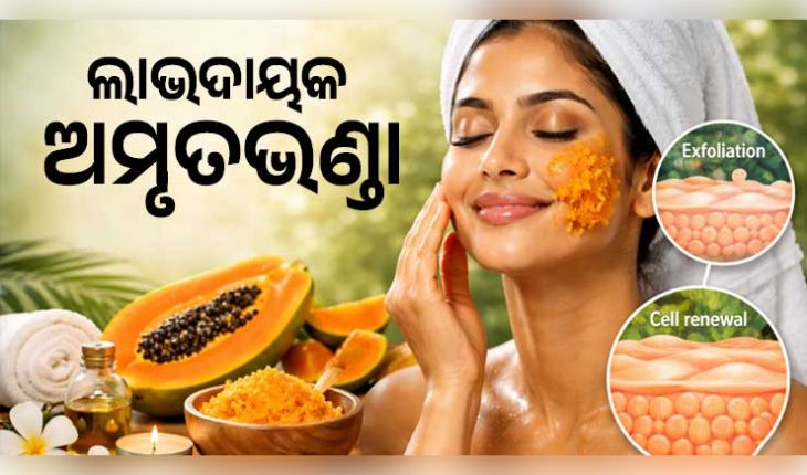 ତ୍ୱଚା ପାଇଁ ଅମୃତଭଣ୍ଡାର ଚମତ୍କାରୀ ଫାଇଦା: ଜାଣନ୍ତୁ ଏହାର ଉପକାରିତା ଓ ବ୍ୟବହାରର ସଠିକ୍ ପ୍ରଣାଳୀ