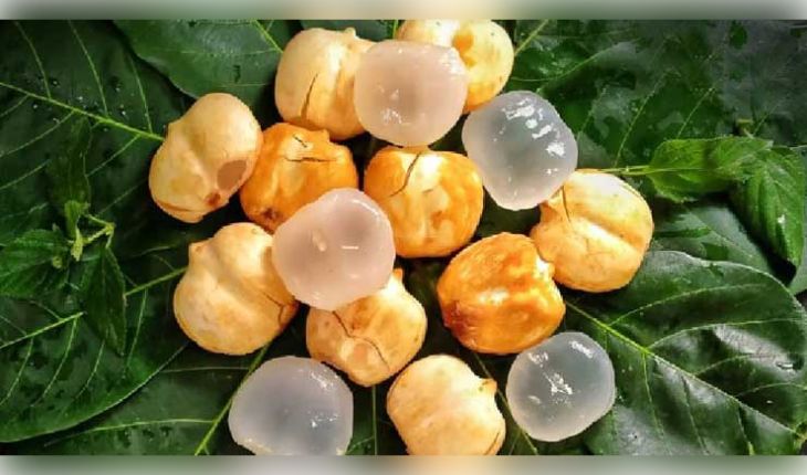 ଗ୍ରୀଷ୍ମ ପ୍ରବାହରୁ ରକ୍ଷା ପାଇବା ପାଇଁ 'ତାଳସଜ' ଏକ ସଞ୍ଜୀବନୀ: ଜାଣନ୍ତୁ ଏହି ସୁପରଫ୍ରୁଟ୍‌ର ଆଶ୍ଚର୍ଯ୍ୟଜନକ ଫାଇଦା