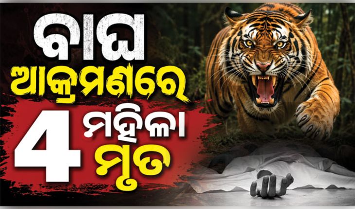 ମହାରାଷ୍ଟ୍ରରେ ବାଘ ଆତଙ୍କ: କେନ୍ଦୁ ପତ୍ର ତୋଳିବାକୁ ଯାଇଥିବା ୪ ମହିଳାଙ୍କୁ ମାରିଦେଲା ମହାବଳ