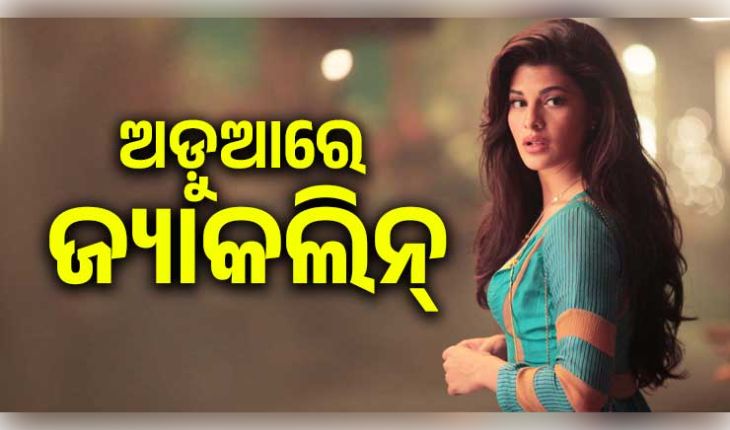 'ସୁକେଶଙ୍କ ସହ ସାମିଲ ଥିଲେ ଜ୍ୟାକଲିନ୍': ୨୦୦ କୋଟି ଟଙ୍କାର ଠକେଇ ମାମଲାରେ ଅଭିନେତ୍ରୀଙ୍କୁ 'ପୀଡ଼ିତା' ବଦଳରେ 'ଅଭିଯୁକ୍ତ' କହିଲେ କୋର୍ଟ