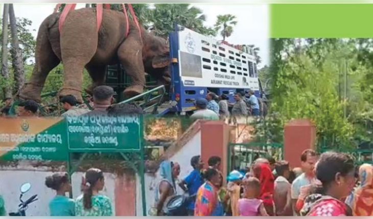 ଅନୁଗୁଳର ନରହନ୍ତା ଦନ୍ତାକୁ ସାତକୋଶିଆରେ ଛାଡିବାକୁ ସ୍ଥାନୀୟ ଅଞ୍ଚଳରେ ବିରୋଧ 