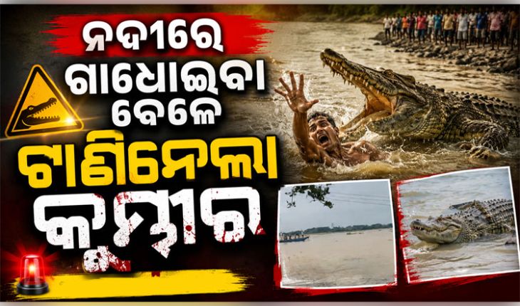 ଖରସ୍ରୋତା ନଦୀରେ ଗାଧୋଇବା ବେଳେ ଟାଣିନେଲା କୁମ୍ଭୀର, ଉଦ୍ଧାର କାର୍ଯ୍ୟ ଜାରି