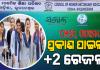 ପ୍ରକାଶ ପାଇଲା +2 ପରୀକ୍ଷା ଫଳ; ଏକାସଙ୍ଗେ କଳା, ବିଜ୍ଞାନ, ବାଣିଜ୍ୟ ରେଜଲ୍ଟ ପ୍ରକାଶିତ 