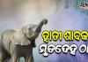 କରଞ୍ଜିଆ ସ୍ଥିତ ଦୁଧିଆଣି ଜଙ୍ଗଲରୁ ମୃତ ହାତୀଛୁଆ ଉଦ୍ଧାର