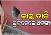 କାନ୍ଥ ତାଡି ଜୁଏଲାରି ଦୋକାନରୁ ୨୦ଲକ୍ଷରୁ ଉର୍ଦ୍ଧ୍ୱ ଟଙ୍କାର ଅଳଙ୍କାର ଲୁଟିନେଲେ ଦୁର୍ବୃତ୍ତ