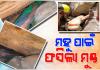 ମହୁ ସଂଗ୍ରହ କରିବାକୁ ଯାଇ ପଥର ଖୋଲରେ ଫସିଗଲା ନାବାଳକଙ୍କ ମୁଣ୍ଡ, ଉଦ୍ଧାର କଲା ଅଗ୍ନିଶମ ବିଭାଗ 