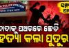 ସମ୍ପତ୍ତି ଆଗରେ ରକ୍ତ ସମ୍ପର୍କ ପଡିଲା ଫିକା: ଦାଦାକୁ ପଥରରେ ଛେଚି ମାରିଲା ପୁତୁରା 
