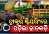 ଥାନା ସାମ୍ନାରେ ଟ୍ରାକ୍ଟର ରଖି ଷ୍ଟିୟରିଂରେ ହାତକଡ଼ି ପକାଇଲା ପୋଲିସ, କ'ଣ ଏହାର କାରଣ.... 