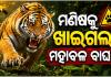 ମୟୂରଭଞ୍ଜ ଜଙ୍ଗଲରେ ବାଘ ଆତଙ୍କ ! ମଣିଷ ମାରି ଖାଇଲା ମହାବଳ, ଜଙ୍ଗଲରେ ପଡିଛି ବ୍ୟକ୍ତିଙ୍କ କ୍ଷତାକ୍ତ ଗୋଡ଼