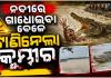 ଖରସ୍ରୋତା ନଦୀରେ ଗାଧୋଇବା ବେଳେ ଟାଣିନେଲା କୁମ୍ଭୀର, ଉଦ୍ଧାର କାର୍ଯ୍ୟ ଜାରି