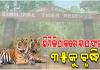 ଶିମିଳିପାଳରେ ବଢ଼ିଲା ବାଘ ସଂଖ୍ୟା, ଯମୁନା ଓ ଜିନତକୁ ମିଶାଇ ମୋଟ୍ ୩୫ ବାଘ
