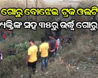 ପିକ୍‌ଅପ୍‌କୁ ଧକ୍କା ଦେଇ ଓଲଟିଲା ଗୋରୁ ବୋଝେଇ ଗାଡ଼ି, ୩ ବ୍ୟକ୍ତିଙ୍କ ସହ ୩୫ରୁ ଉର୍ଦ୍ଧ୍ବ ଗୋରୁ ମୃତ