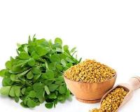 ମେଥି ଶାଗର ଉପକାରୀ ଗୁଣ, ଦୂରେଇ ଯିବ ଅନେକ ପ୍ରକାରର ରୋଗ