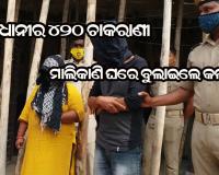 ମାଲିକାଣୀ ଘରୁ ସୁନା ଚୋରି କରି ଗିରଫ ହେଲେ ଚାକରାଣୀ