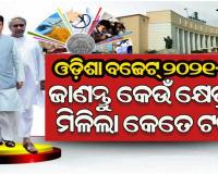 ରାଜ୍ୟ ବଜେଟ୍‌ ୨୦୨୧-୨୨ : ଜାଣନ୍ତୁ କେଉଁ କ୍ଷେତ୍ର ପାଇଁ କେତେ ଟଙ୍କା ବ୍ୟୟ ବରାଦ କଲେ ରାଜ୍ୟ ସରକାର