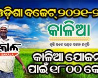 ରାଜ୍ୟ ବଜେଟ୍‌ ୨୦୨୧-୨୨ : କୃଷି ପାଇଁ ୨୦ ହଜାର କୋଟି ଟଙ୍କାର ବ୍ୟୟ ବରାଦ