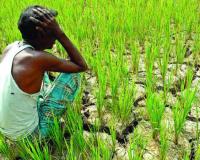 କୃଷିକୁ କାଳ ଜଳବାୟୁ ପରିବର୍ତ୍ତନ