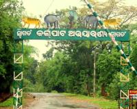 କର୍ଲାପାଟ ହାତୀ ମୃତ୍ୟୁ ଘଟଣା, ନିଲମ୍ବିତ ହେଲେ ପ୍ରାଣୀଧନ ନିରୀକ୍ଷକ