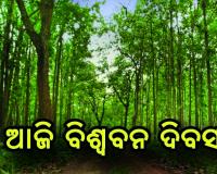 ଆଜି ବିଶ୍ବ ବନ ଦିବସ