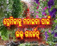 ପ୍ରେମିକାକୁ ମନାଇବା ପାଇଁ ଲଭ୍‌ ଗାର୍ଡେନ୍‌