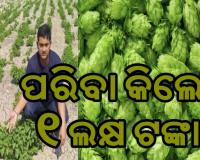 ଏମିତି ଏକ ପରିବା ଅଛି ଯାହାର ଦାମ୍ ଶୁଣିଲେ ହୋସ୍ ଉଡିଯିବ, କିଲୋ ୧ ଲକ୍ଷ ଟଙ୍କା