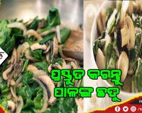 ପ୍ରସ୍ତୁତ କରନ୍ତୁ ପାଳଙ୍ଗ ଛତୁ: ଜାଣନ୍ତୁ ଆବଶ୍ୟକ ସାମଗ୍ରୀ ଓ ପ୍ରସ୍ତୁତି ପ୍ରଣାଳୀ