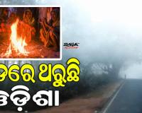 ସାରା ରାଜ୍ୟରେ ଶୀତ ଲହରୀ ଜାରି; ୫ ଡିଗ୍ରୀକୁ ଖସିଲା ପାରଦ, ଆହୁରି ଦୁଇ ଦିନ ହାଡ଼ଭଙ୍ଗା ଶୀତ