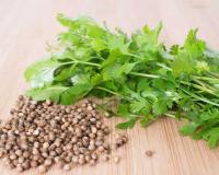 ଓଜନ ନିୟନ୍ତ୍ରଣକାରୀ ଧନିଆ: ଚର୍ବି କମାଇବାରେ ମୁଖ୍ୟ ଭୂମିକା ନିଭାଇଥାଏ