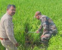 ଲକ୍ଷ୍ମୀପୁର ଗାଁରେ ବୁଲୁଛି ବାଘ, ଲୋକେ ଭୟଭୀତ