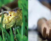 ସାପ କାମୁଡ଼ା ମୃତ୍ୟୁ ପାଇଁ କ୍ଷତିପୂରଣ ରାଶି ୧୦ ଲକ୍ଷ ହୋଇପାରେ....