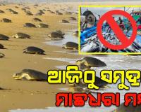 ଆଜିଠୁ ସମୁଦ୍ରରେ ମାଛଧରା ନିଷେଧ, ଅଲିଭ୍‌ରିଡଲେ କଇଁଛଙ୍କ ପ୍ରଜନନ ପାଇଁ ୭ ମାସ କଟକଣା ଜାରି