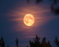 କାର୍ତ୍ତିକ ପୂର୍ଣ୍ଣିମାରେ 'ସୁପରମୁନ', ବର୍ଷର ସବୁଠୁ ବଡ଼ ଓ ଉଜ୍ଜଳ ଚନ୍ଦ୍ର...