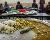 ମଧ୍ୟାହ୍ନ ଭୋଜନରେ ଝିଟିପିଟି ! ବିଷାକ୍ତ ଖାଦ୍ୟ ଖାଇ ୫୦ରୁ ଉର୍ଦ୍ଧ୍ୱ ଛାତ୍ରଛାତ୍ରୀ ଅସୁସ୍ଥ