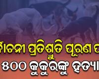 ତେଲେଙ୍ଗାନାରେ ଅମାନବୀୟ କାଣ୍ଡ: ନିର୍ବାଚନୀ ପ୍ରତିଶ୍ରୁତି ପୂରଣ ପାଇଁ ୫୦୦ ବୁଲା କୁକୁରଙ୍କୁ ହତ୍ୟା