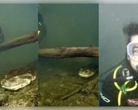 Viral Video: ପାଣି ଭିତରେ ୨୦୦ କିଲୋର ବିଶାଳ ଆନାକୋଣ୍ଡା ସହ ମୁହାଁମୁହିଁ ହେଲେ ଡାଇଭର; ଦେଖନ୍ତୁ ଏହି ଭାଇରାଲ ଭିଡିଓ