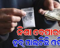 ଗୋଆରୁ ଓଡିଶାକୁ ଲମ୍ବିଛି ନିଶା ବେପାରର ଚେର, ଓଡିଶା ସମେତ ୭ ରାଜ୍ୟର ୨୬ଟି ସ୍ଥାନରେ ଇଡି ଚଢ଼ାଉ