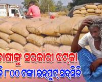 ବଡ଼ ଚାଷୀଙ୍କୁ ସରକାରୀ ଝଟ୍‌କା: ମିଳିବନି ୮୦୦ ଟଙ୍କା ଇନ୍‌ପୁଟ୍‌ ସବ୍‌ସିଡି, କ୍ଷତିଗ୍ରସ୍ତ ହେବେ ୭ ଏକରରୁ ଅଧିକ ଚାଷ କରିଥିବା ଚାଷୀ