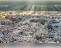 ଶିମିଳିପାଳରେ ହାଡ଼ଭଙ୍ଗା ଶୀତ: ୧୩ ବର୍ଷର ରେକର୍ଡ ଭାଙ୍ଗିଲା, ତାପମାତ୍ରା ମାଇନସ୍ ୧ ଡିଗ୍ରୀ