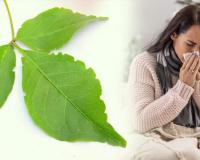 କେବଳ ପୂଜା ନୁହେଁ, ସ୍ୱାସ୍ଥ୍ୟ ପାଇଁ ମଧ୍ୟ ବରଦାନ ‘ବେଲ ପତ୍ର’; ଜାଣନ୍ତୁ ବ୍ୟବହାର କରିବାର ୫ଟି ଉପାୟ