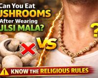 ତୁଳସୀ ମାଳି ଧାରଣ କରିବା ପରେ ଛତୁ ଖାଇପାରିବେ କି? ଜାଣନ୍ତୁ କ’ଣ କହୁଛି ଶାସ୍ତ୍ର ଓ ନିୟମ