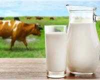 ସାବଧାନ ! ଓଡ଼ିଶା ବଜାରରେ ବିକ୍ରି ହେଉଛି ନିମ୍ନମାନର କ୍ଷୀର