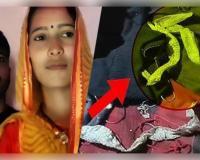 ଔରୟାରେ 'ନାଗିନ୍' ଡ୍ରାମା: ପ୍ରେମିକ ସହ ଫେରାର୍ ହେବାକୁ ଯୁବତୀ ରଚିଲେ ଷଡଯନ୍ତ୍ର, ବିଛଣାରୁ ମିଳିଲା ସାପ କାତି