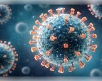 ପଶ୍ଚିମବଙ୍ଗରେ ନିପା ଭୂତାଣୁ ଆତଙ୍କ: ୨୫ ବର୍ଷୀୟା ନର୍ସଙ୍କ ମୃତ୍ୟୁ, ସ୍ୱାସ୍ଥ୍ୟ ବିଭାଗର ହାଇ ଆଲର୍ଟ