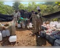 କୋରାପୁଟରେ ବଡ଼ ଧରଣର ଡ୍ରଗ୍ସ କାରବାର ପର୍ଦ୍ଦାଫାସ: ୨୦୦ କୋଟିର ହାସିସ୍ ତେଲ ଓ ୨୦୦୦ କେଜି ଗଞ୍ଜେଇ ଜବତ