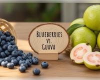 ୧୦୦ ଟଙ୍କାର ପିଜୁଳି ନା ୨୦୦୦ ଟଙ୍କାର ବ୍ଲୁବେରି: ପେଟ ପାଇଁ କେଉଁଟି ଅଧିକ ଲାଭଦାୟକ? ଜାଣନ୍ତୁ କ’ଣ କହୁଛନ୍ତି ଡାକ୍ତର