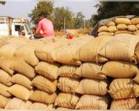 ଆଜି ପୁରୁଛି ଧାନ କିଣା କଣ୍ଟ: ଏବେ ବି ଧାନ ଧରି ବସିଛନ୍ତି ଲକ୍ଷାଧିକ ଚାଷୀ 